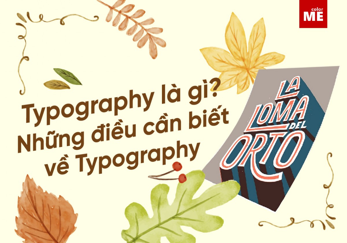 typography là gì