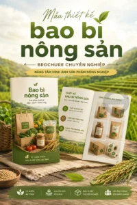 Mẫu thiet ke bao bì nong sản