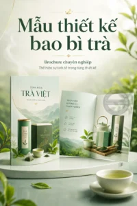 Mẫu thiet ke bao bì tra