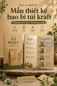 Mẫu thiet ke bao bì tui kraft