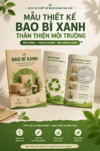 Mẫu thiet ke bao bì xanh than thien moi trương