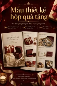 Mẫu thiet ke hop qua tang