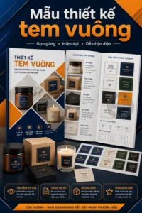 Mẫu thiet ke tem vuong